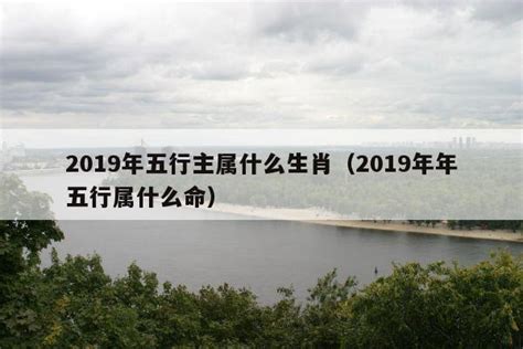 2019年生肖五行 老虎刺青禁忌